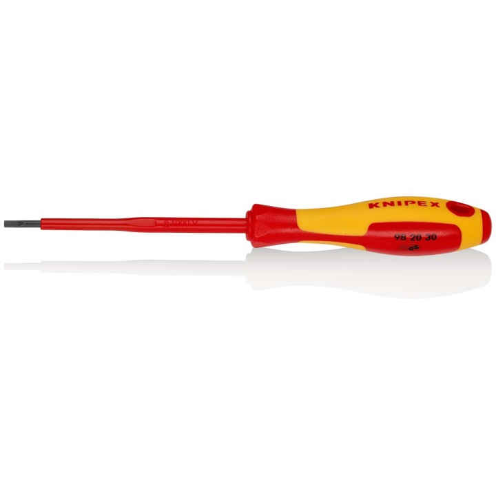98 20 30 Κατσαβίδι για Βίδες Εγκοπής 3 mm KNIPEX