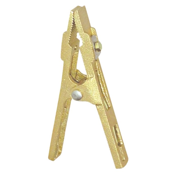 Τσιμπίδα σώματος CROCO B250.25 (250A-25mm2-BRASS) / GYS