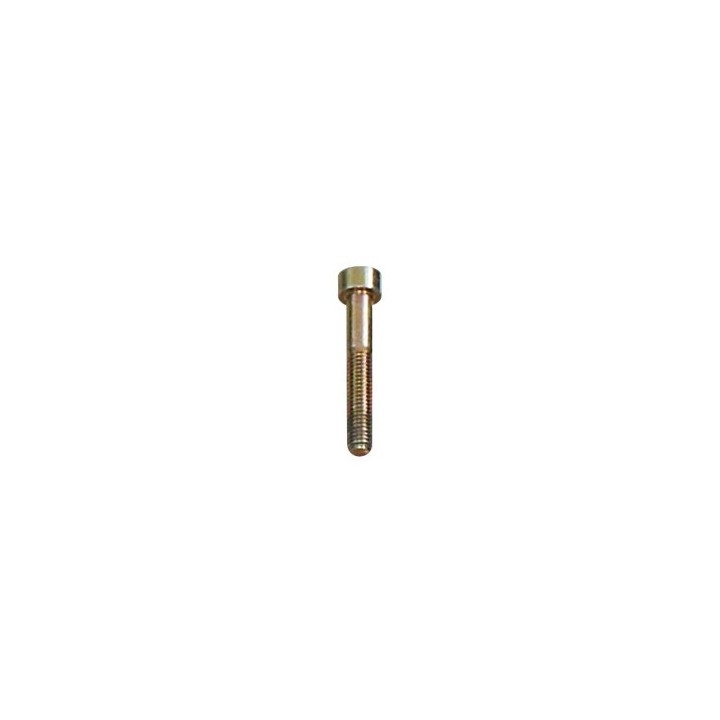 GEDORE Hex. Καρυδάκι screw M6 x 40 mm KL-0041-7210 | PAM