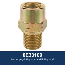 ECODORA 0E33109 Αντάπτορας G 1" m x NPT 1" (f)