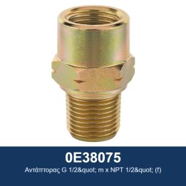 ECODORA 0E38075 Αντάπτορας G 1/2" m x NPT 1/2" (f)