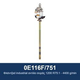 ECODORA 0E116F/751 Βιομηχανική αντλία με φλάντζα σειράς 1200 R75:1 - 4