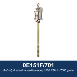 ECODORA 0E151F/701 Βιομηχανική αντλία με φλάντζα σειράς 1500 R70:1 - 7
