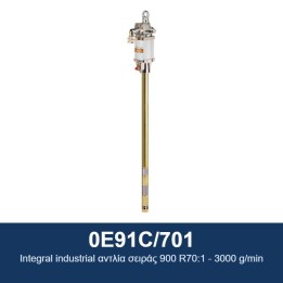 ECODORA 0E91C/701 Βιομηχανική αντλία ενιαίου τύπου σειράς 900 R70:1 -